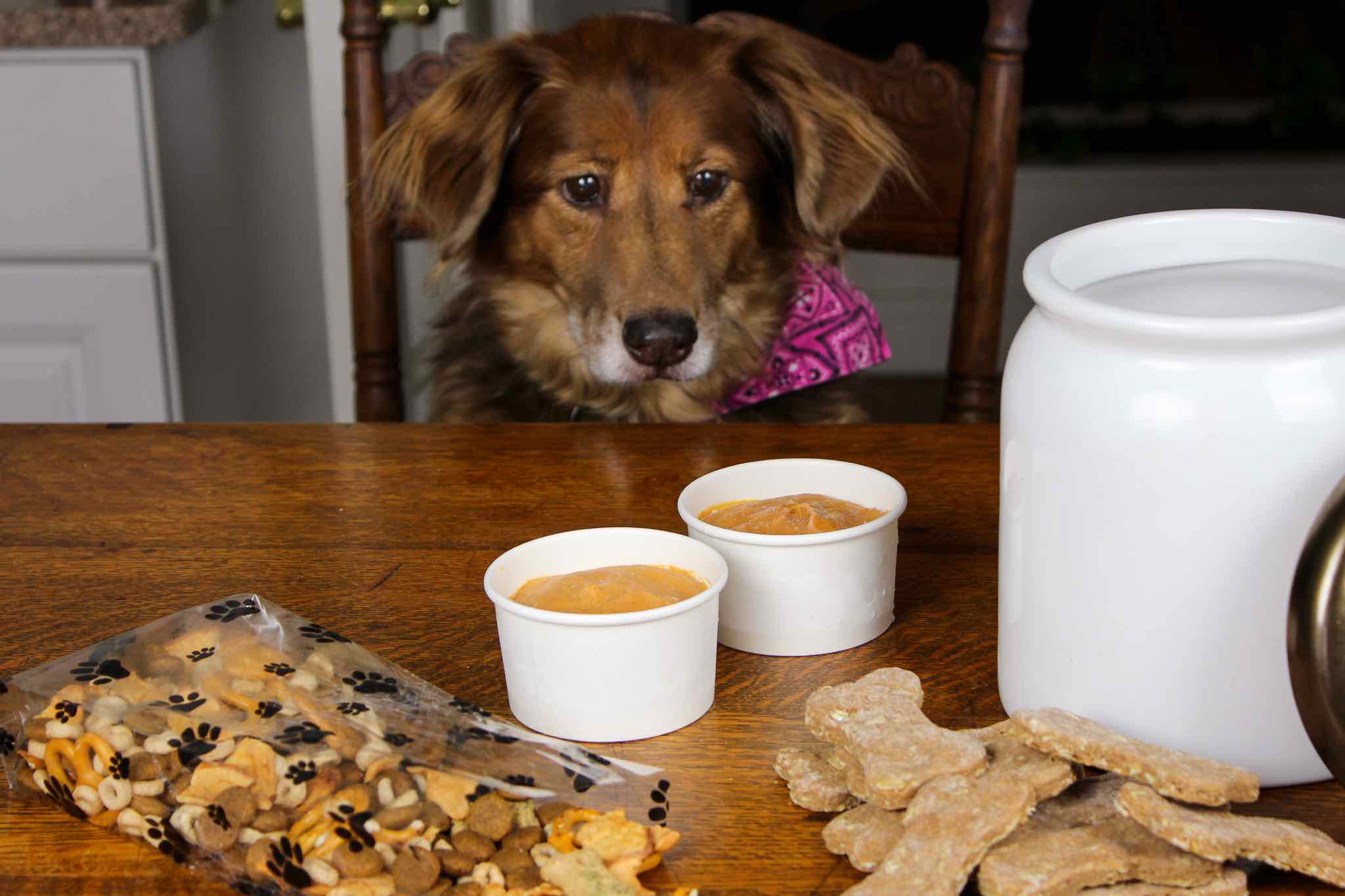 Three Easy Homemade Dog Treats