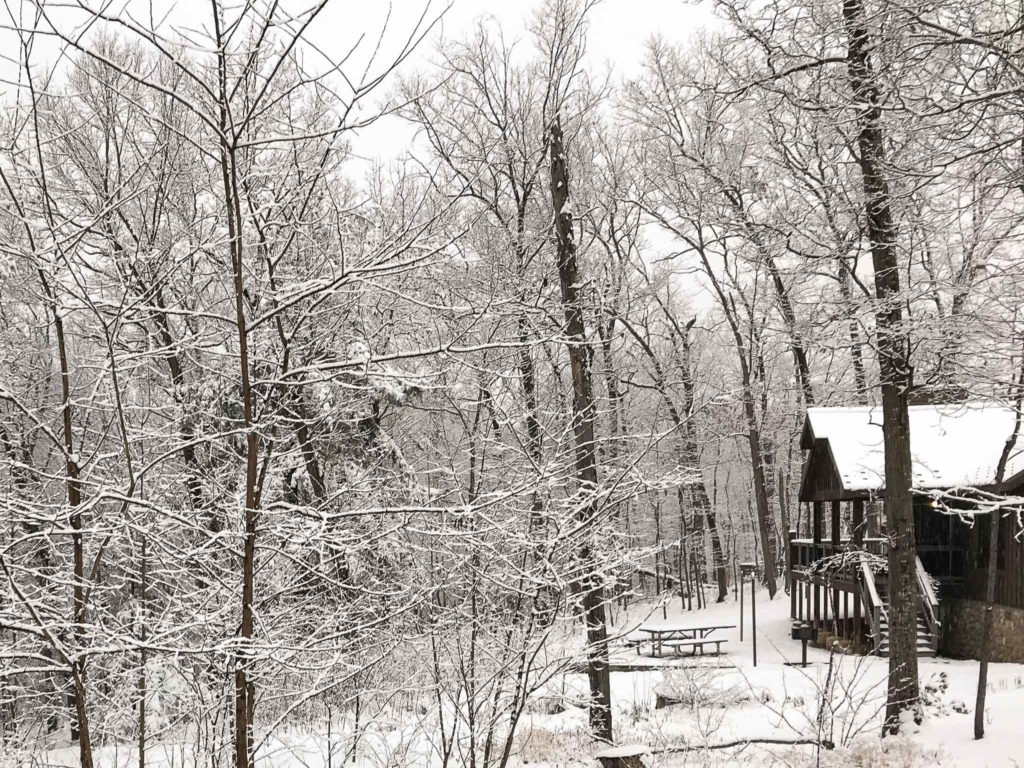 rental cabin in the winter woods